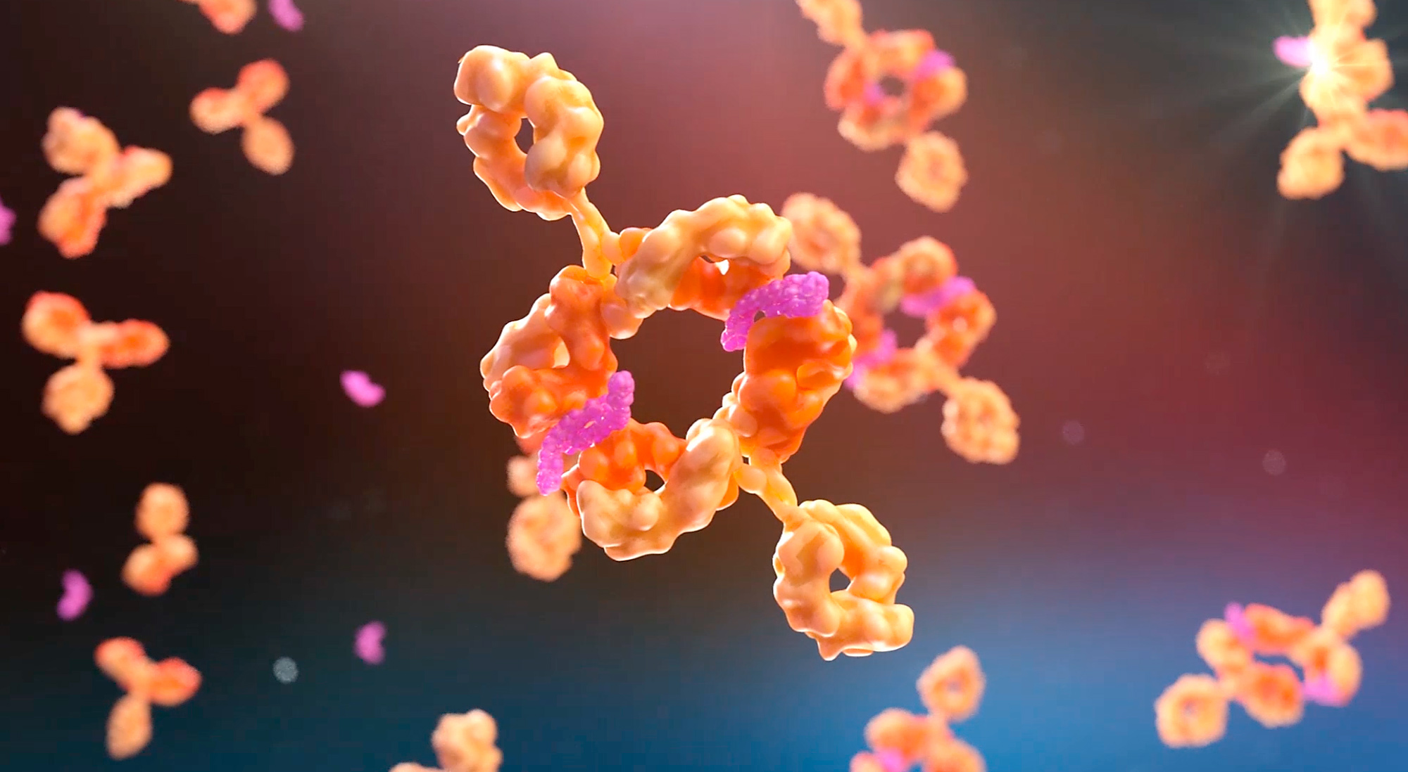 Daten zeigen, dass die Behandlung mit Visugromab in Kombination mit dem Anti-PD-1-Antikörper Nivolumab eine tiefgreifende und dauerhafte antitumorale Aktivität erzielt.